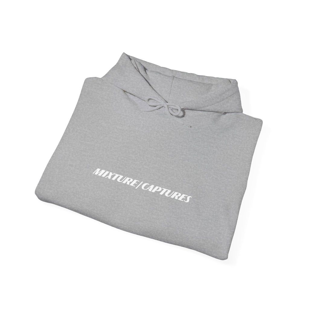 NEED MONEY FOR TRAVEL Hoodie
