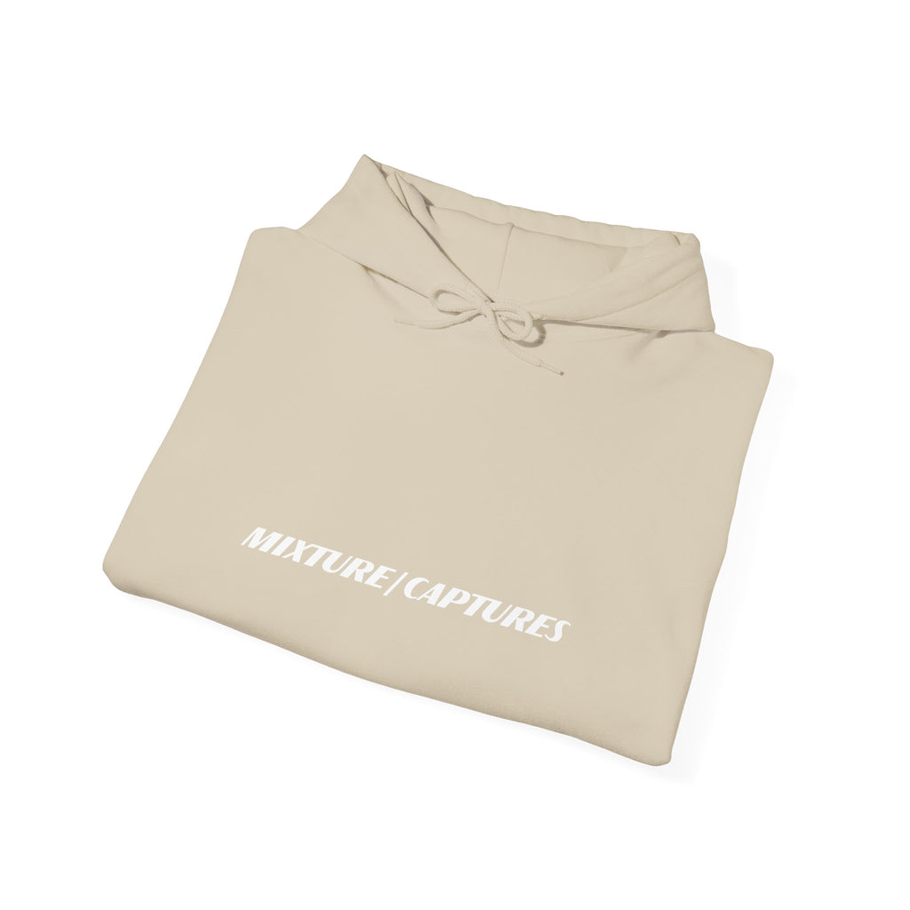 NEED MONEY FOR PARIS Hoodie