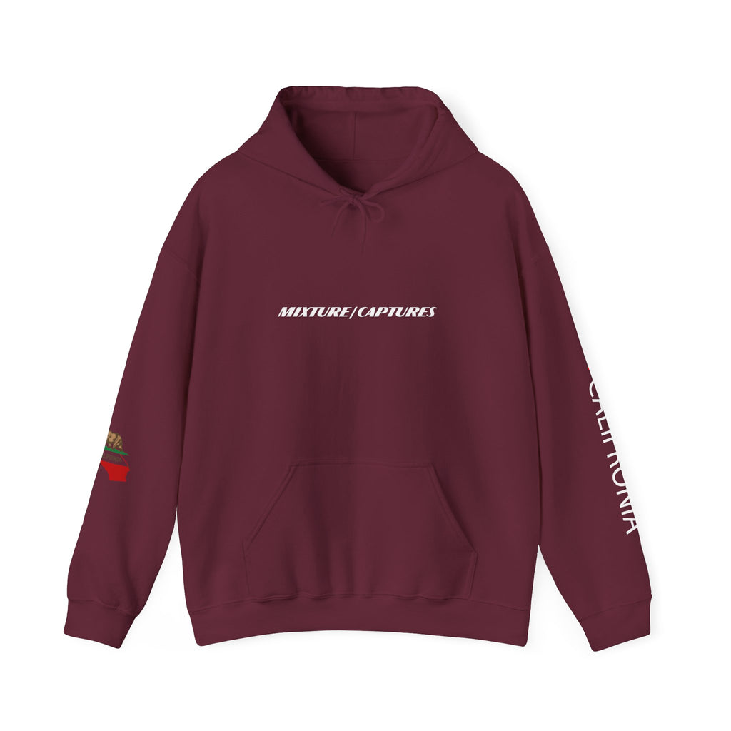 NEED MONEY FOR CALI Hoodie