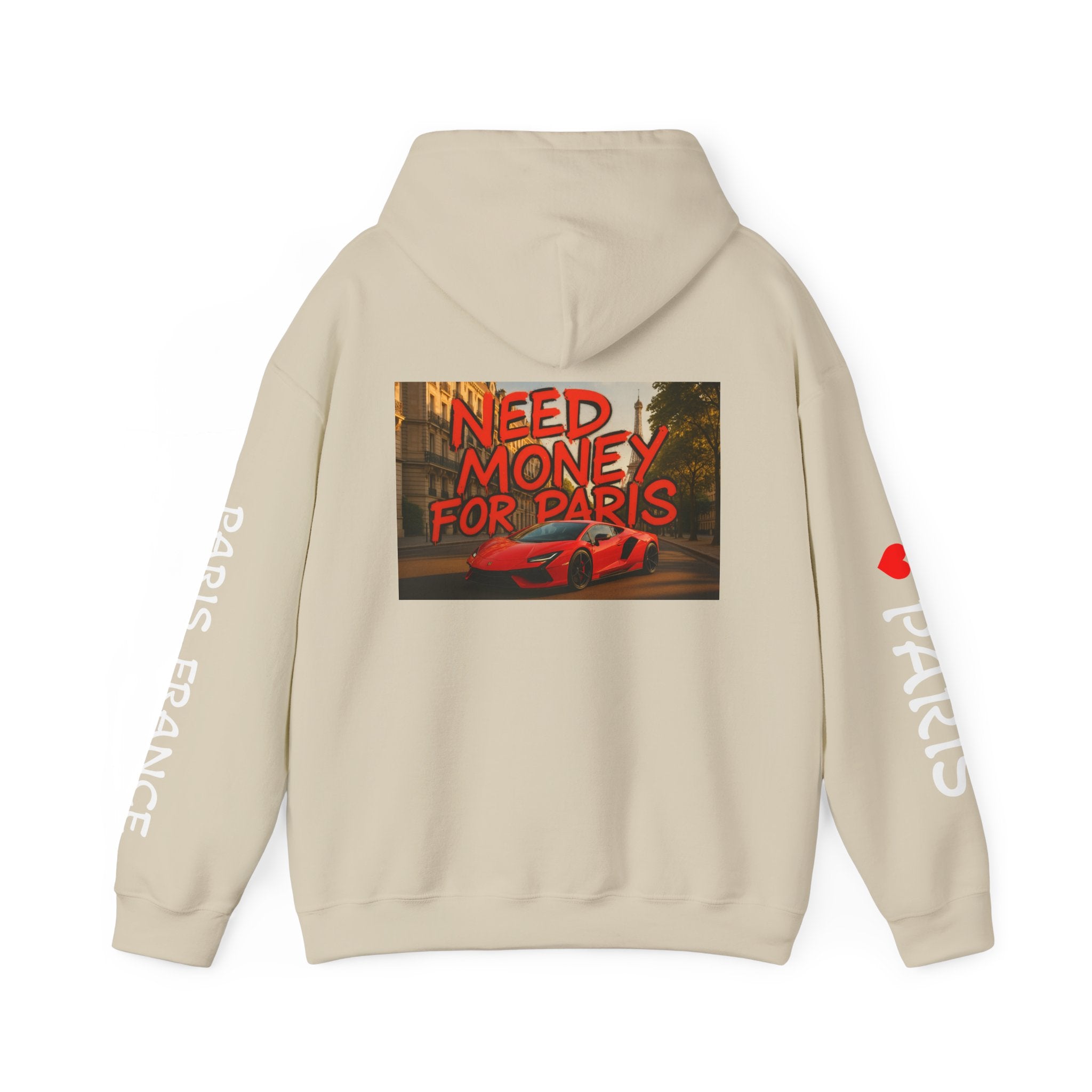 NEED MONEY FOR PARIS Hoodie