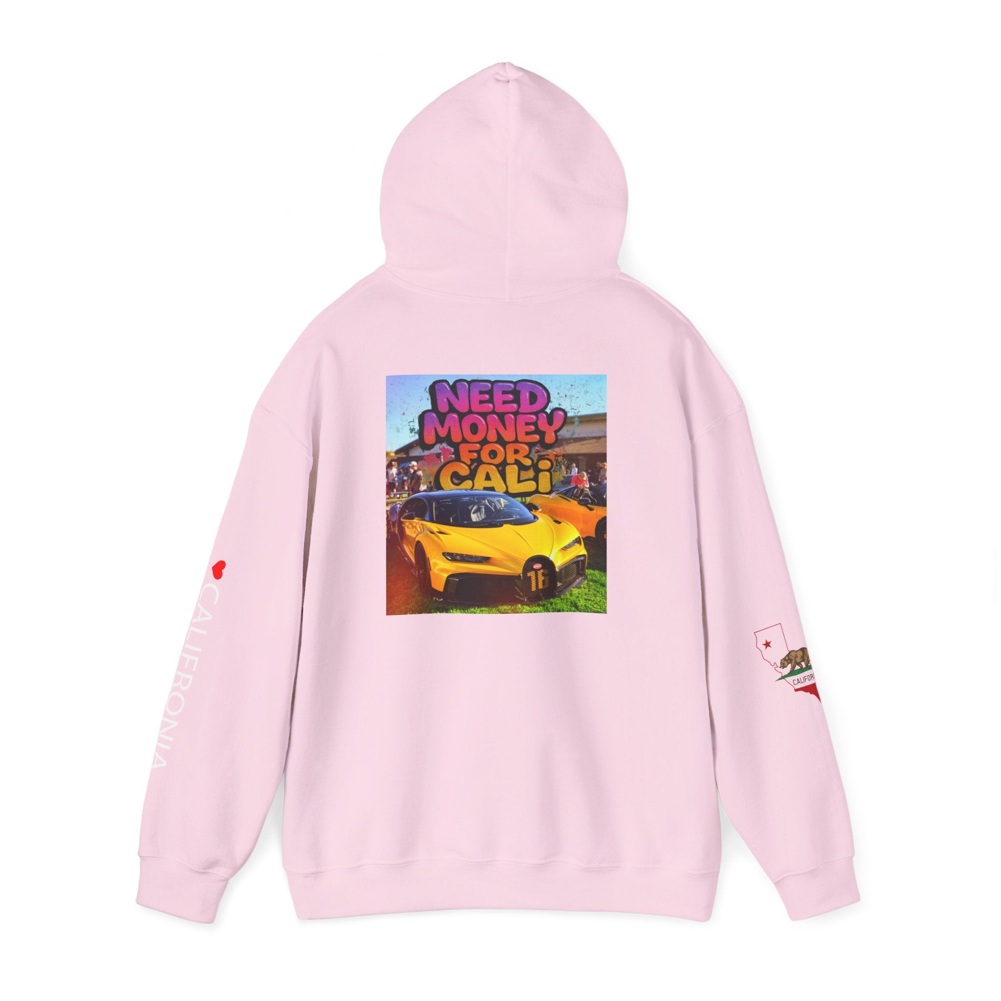 NEED MONEY FOR CALI Hoodie