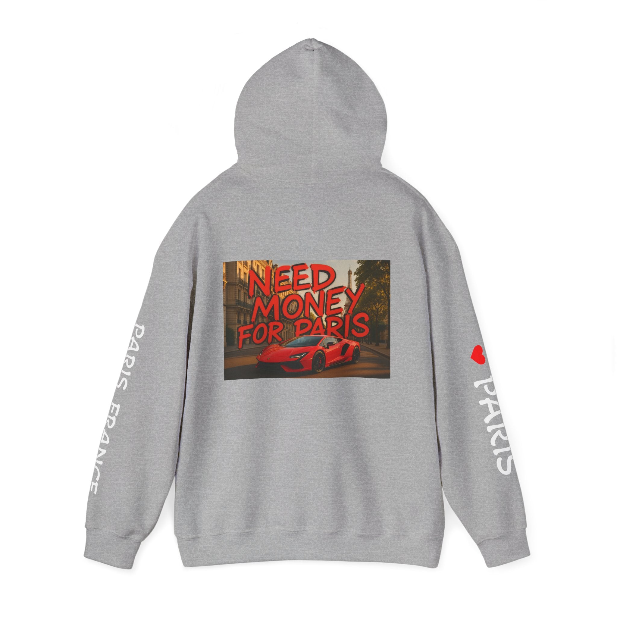 NEED MONEY FOR PARIS Hoodie
