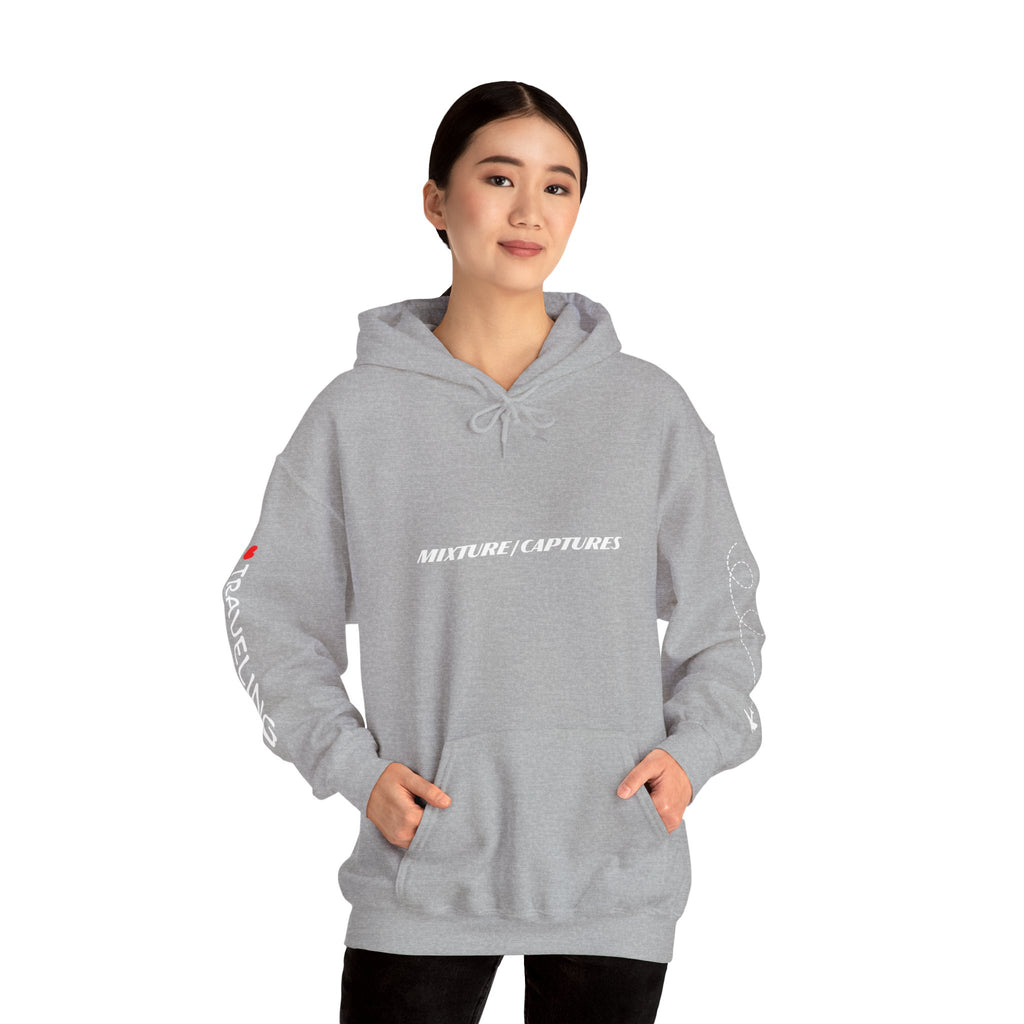 NEED MONEY FOR TRAVEL Hoodie