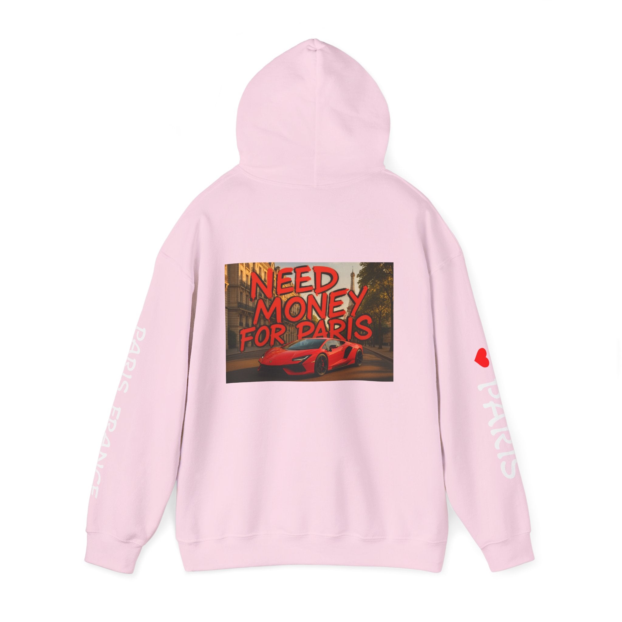 NEED MONEY FOR PARIS Hoodie