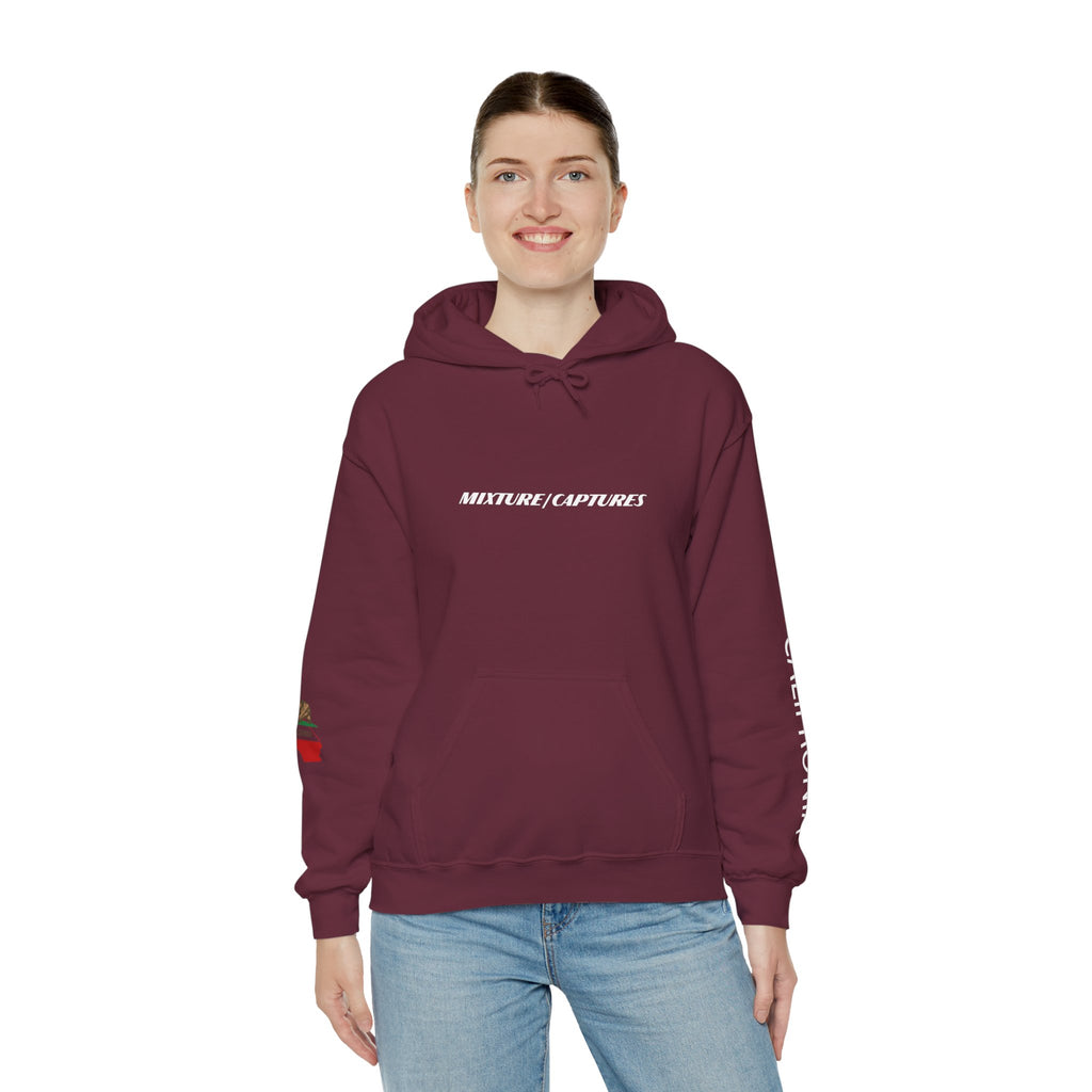 NEED MONEY FOR CALI Hoodie