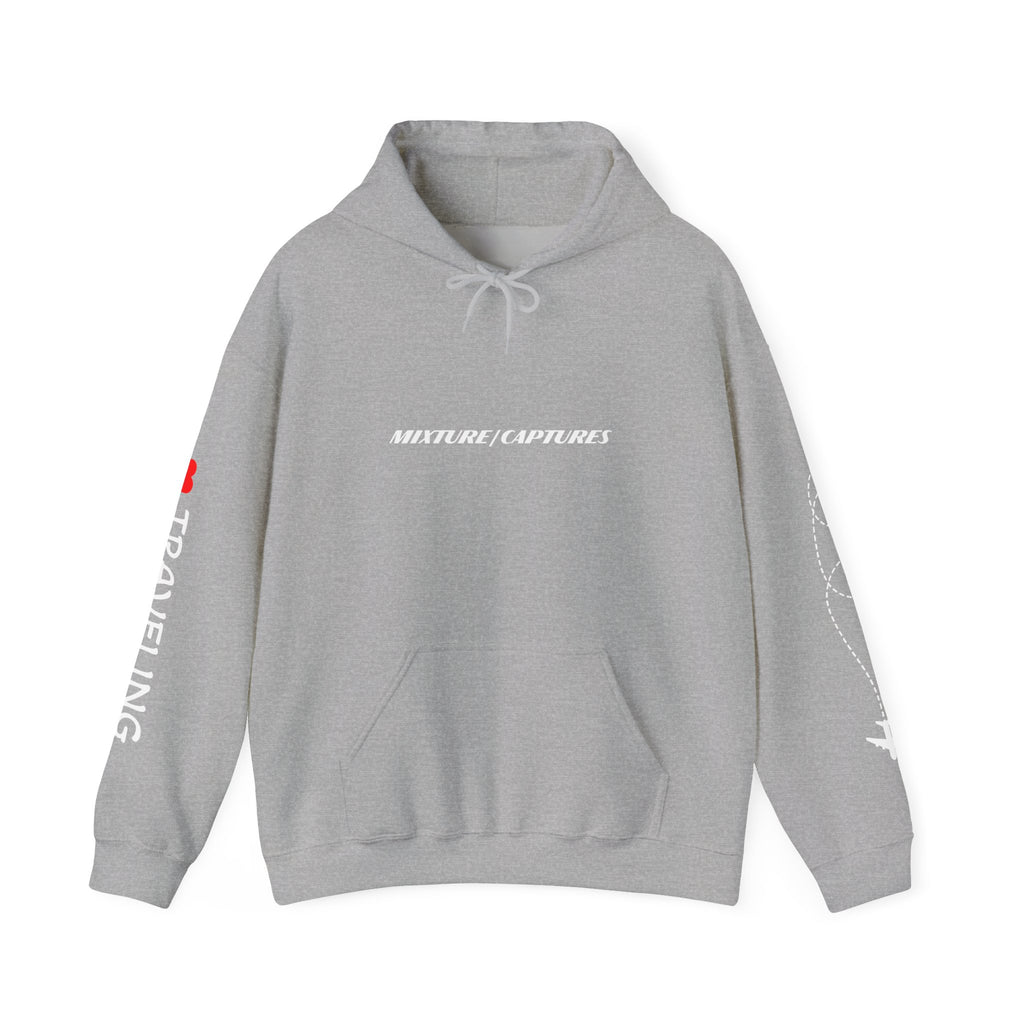 NEED MONEY FOR TRAVEL Hoodie