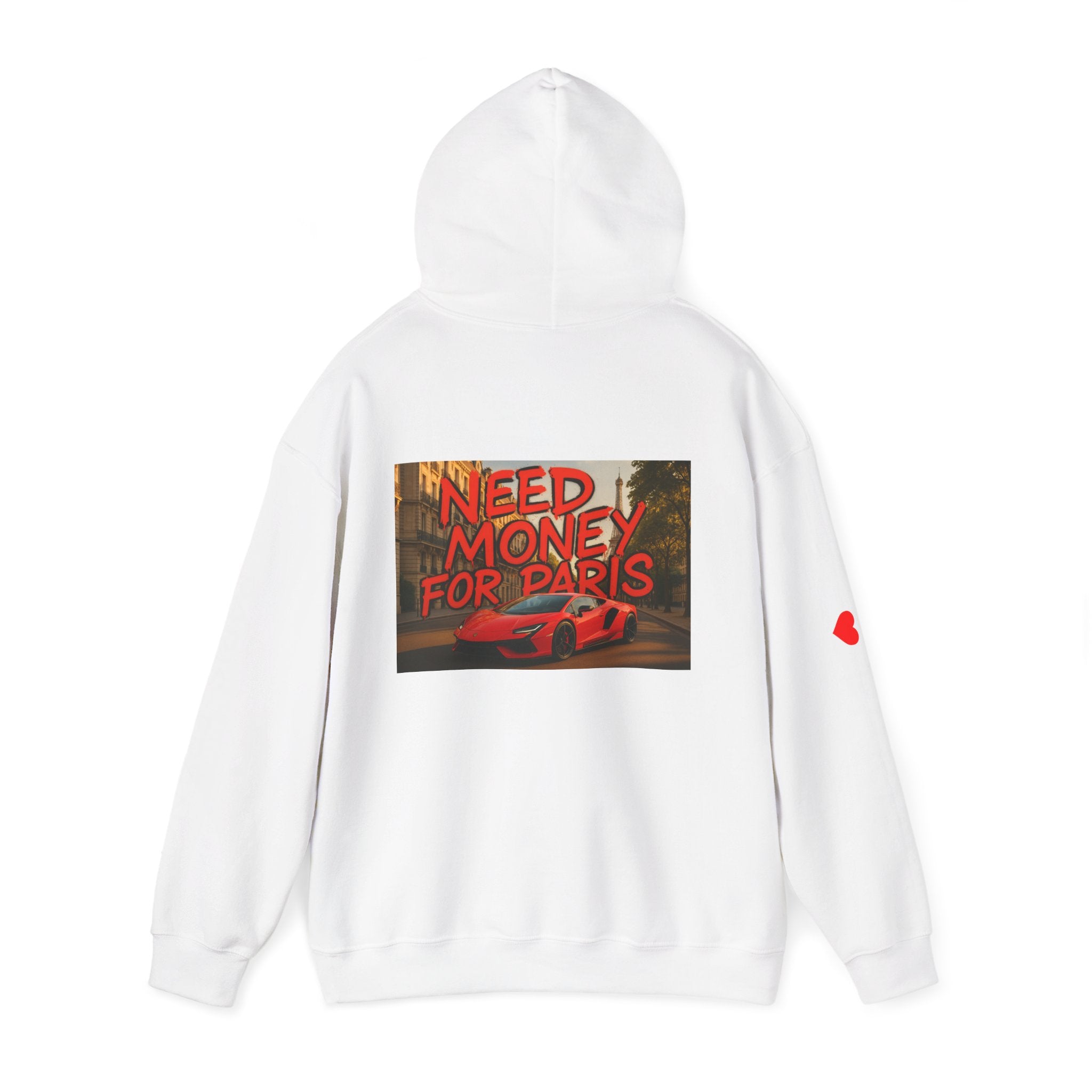 NEED MONEY FOR PARIS Hoodie