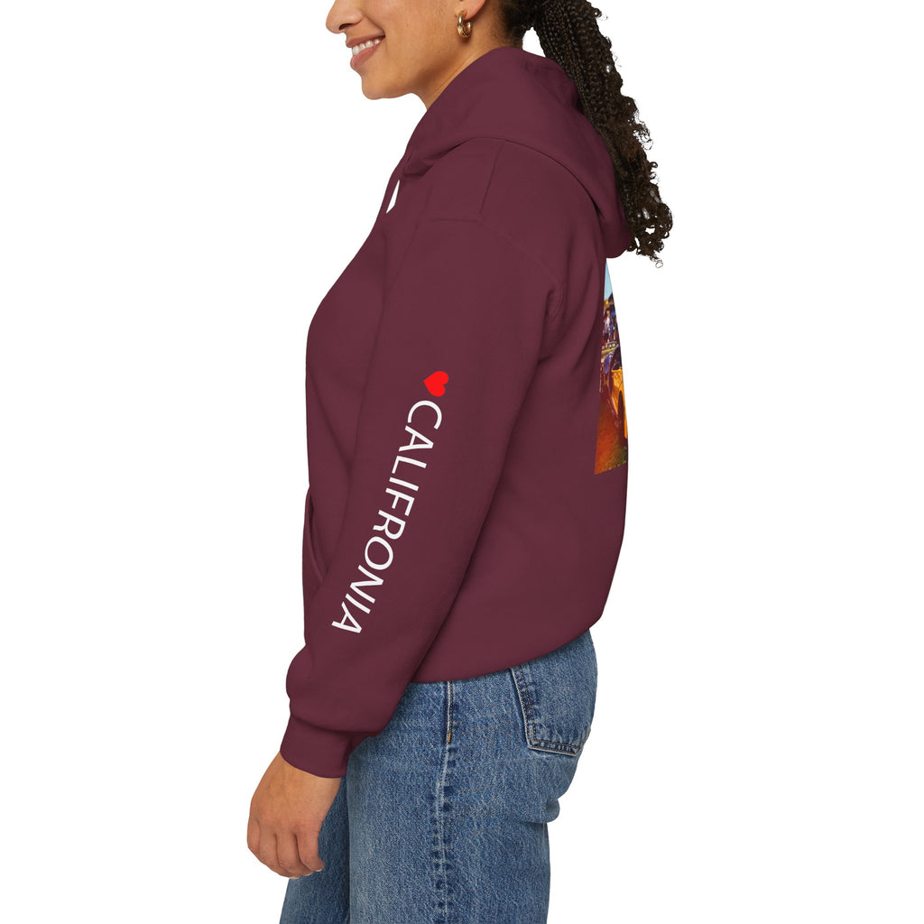 NEED MONEY FOR CALI Hoodie