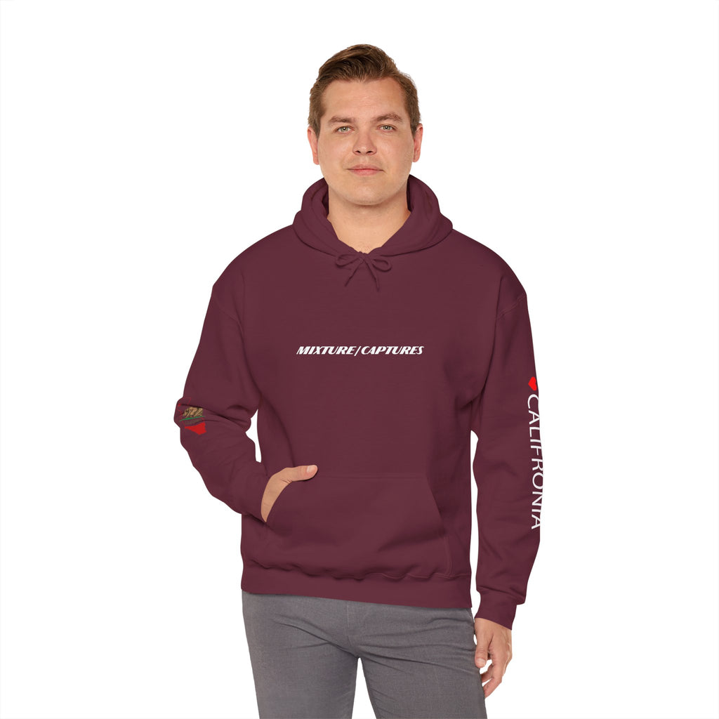 NEED MONEY FOR CALI Hoodie